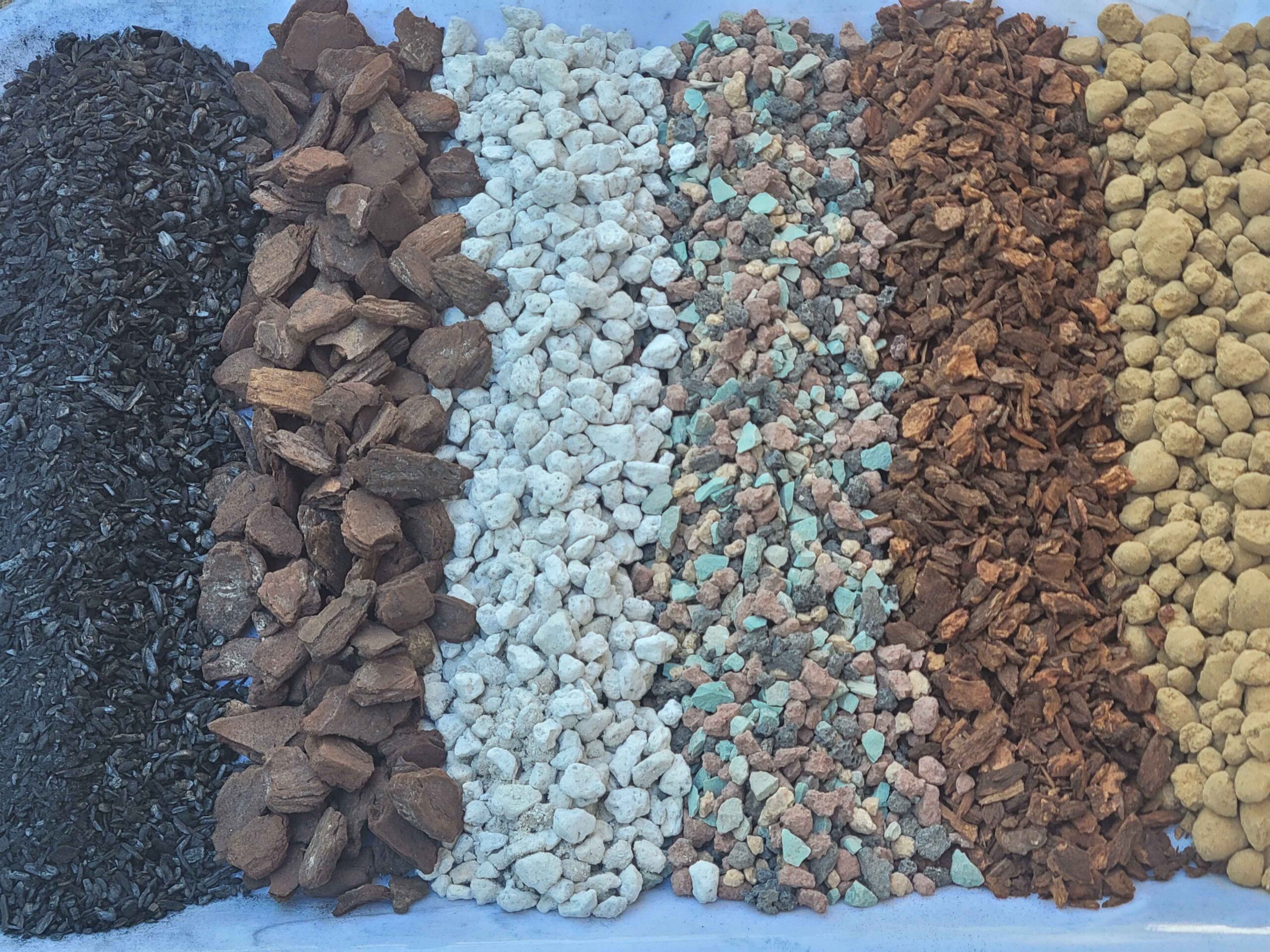 Bonsai Mix - Image 2