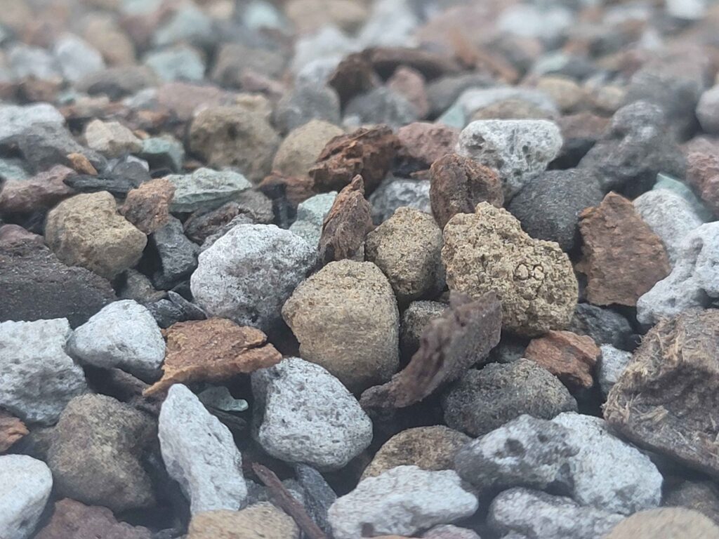 Bonsai Mix