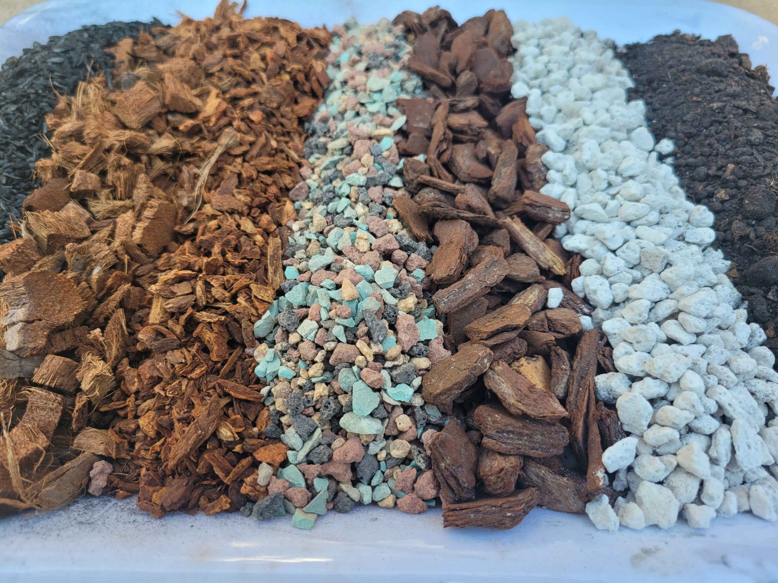 Hoya & Philodendron Mix - Image 12