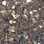 Seedling Mix