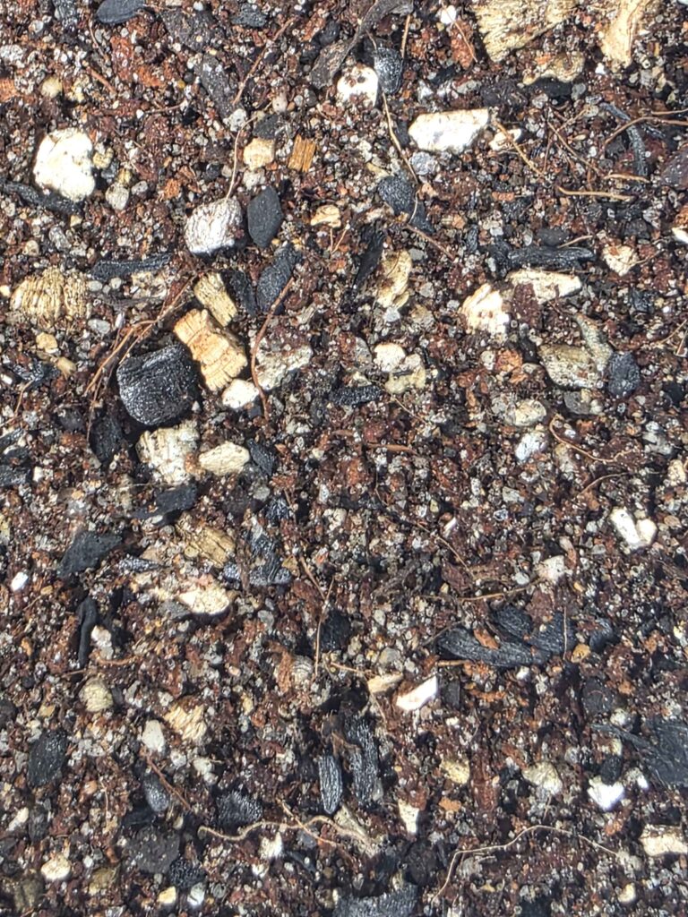 Seedling Mix